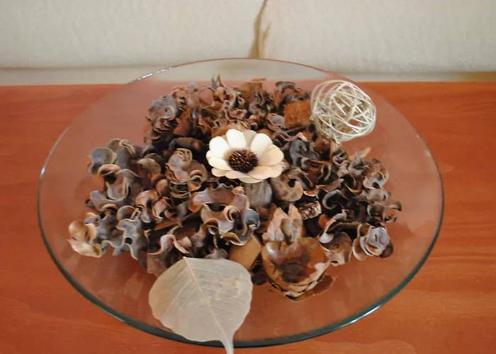 Отель Capitolina 3*